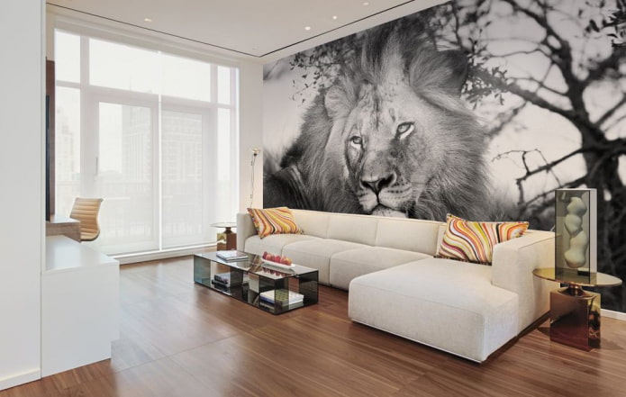 Fond d'écran photo avec un lion