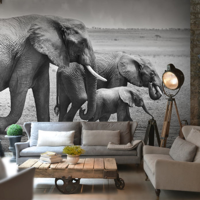 fond d'écran photo noir et blanc à l'intérieur
