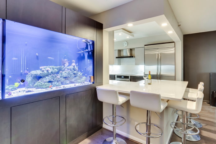 intérieur de cuisine avec un aquarium