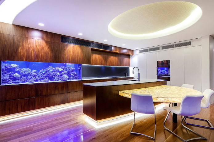 intérieur de cuisine avec un aquarium
