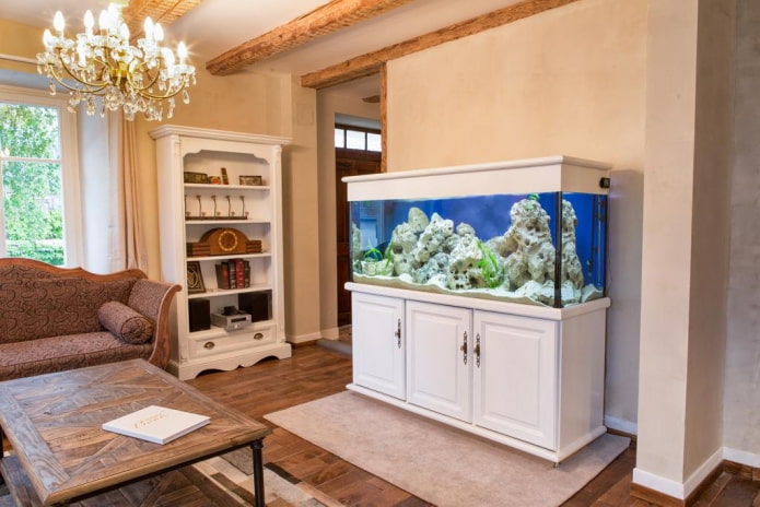 intérieur avec un aquarium au sol