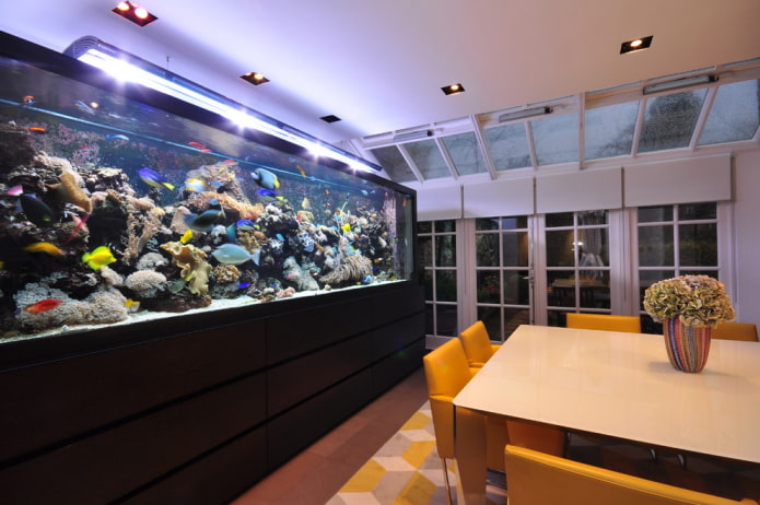 intérieur avec un aquarium au sol