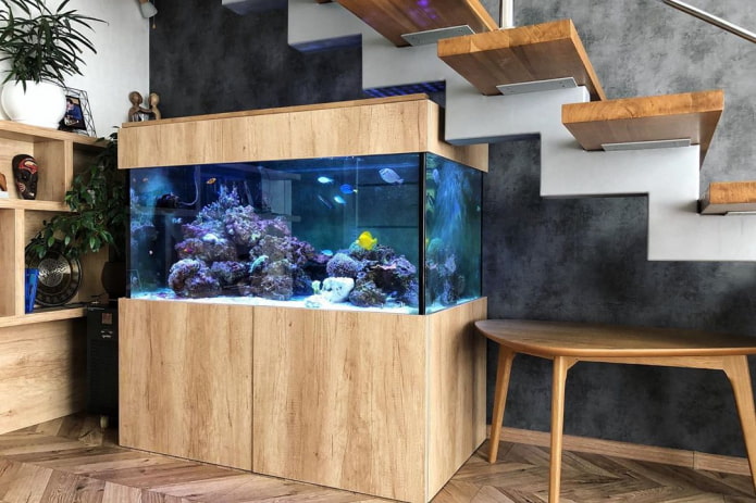 intérieur avec un aquarium au sol