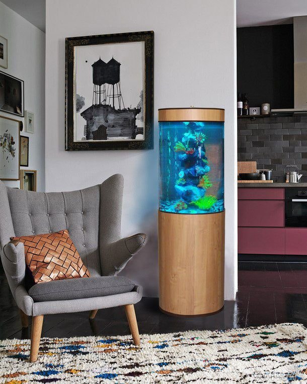 formes et tailles de l'aquarium