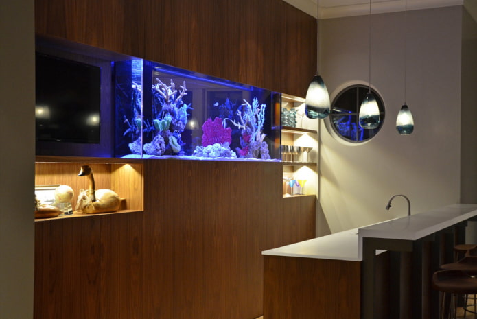 intérieur de cuisine avec un aquarium