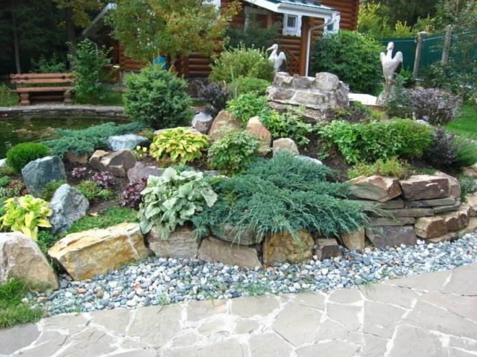plantes pour un toboggan alpin