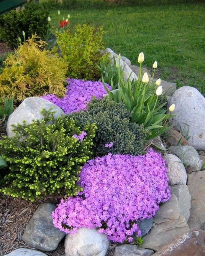 fleurs pour un toboggan alpin