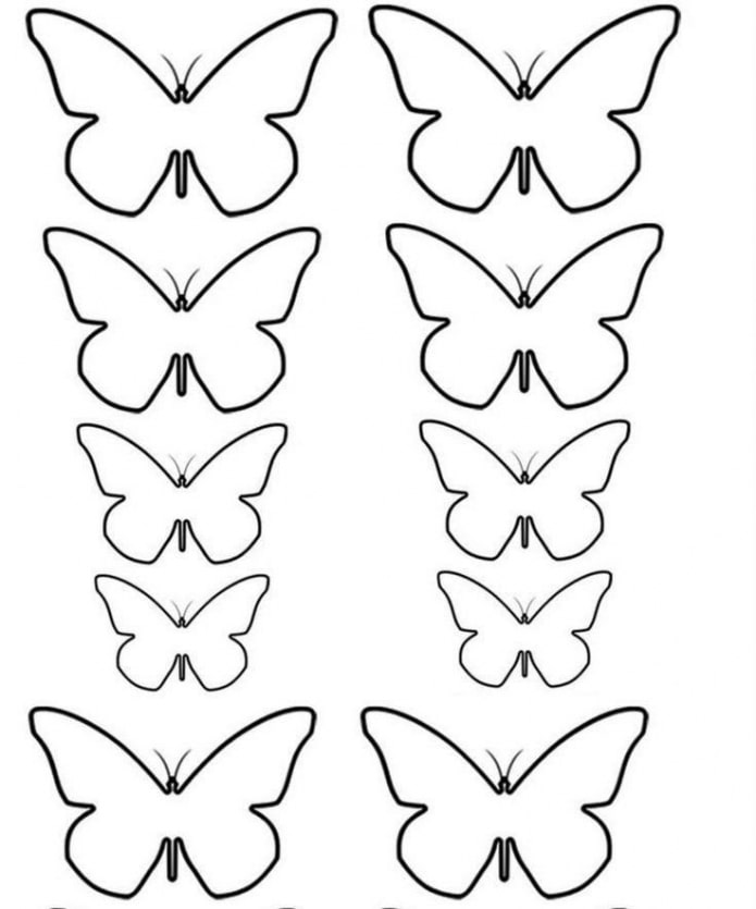 gabarit de papillons de différentes tailles