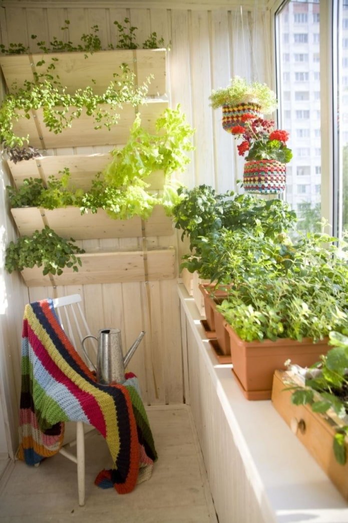 Serre sur une loggia dans un immeuble Khrouchtchev
