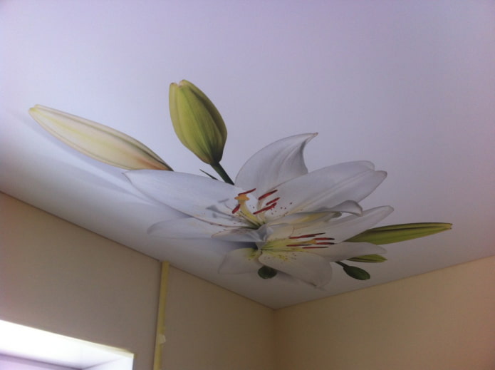 Plafond tendu blanc avec fleurs