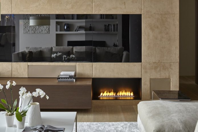 Biocheminée moderne