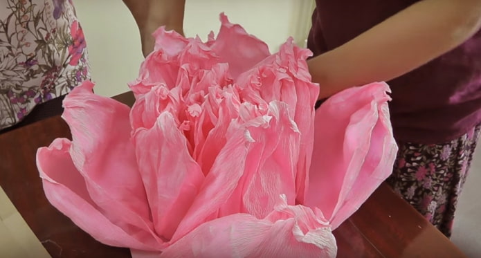Formation d'une fleur