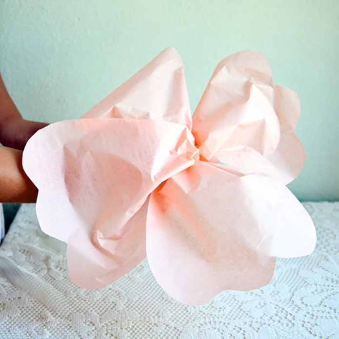 Récolte de la fleur