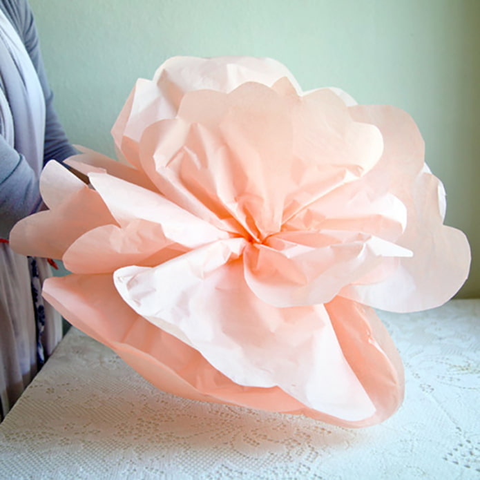 Récolte de la fleur 2