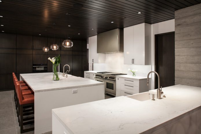 Cuisine design noir et blanc