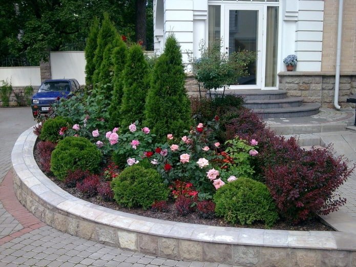 roses avec conifères