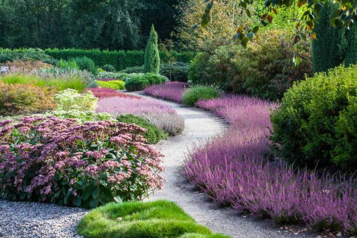plantations de bruyère