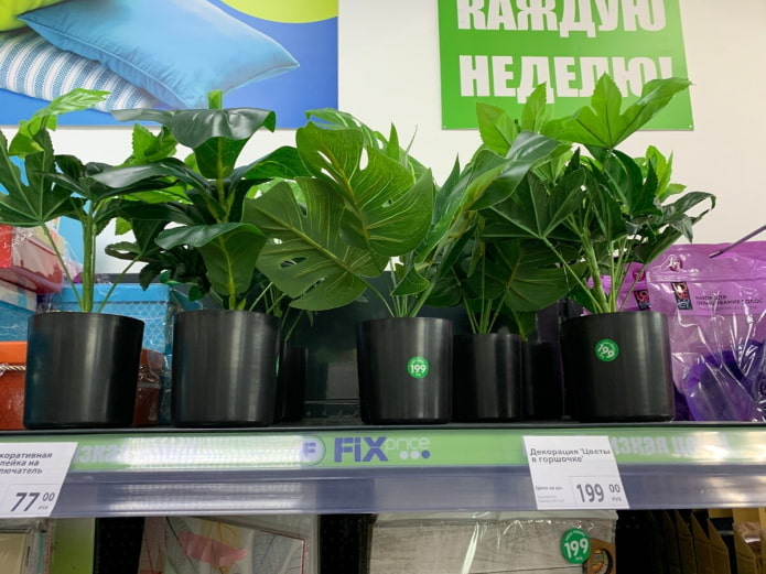 Artificial Plants
