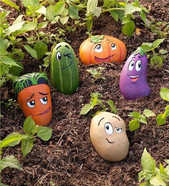 Cailloux-légumes