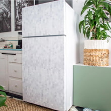 Comment décorer un réfrigérateur de ses propres mains ?-4