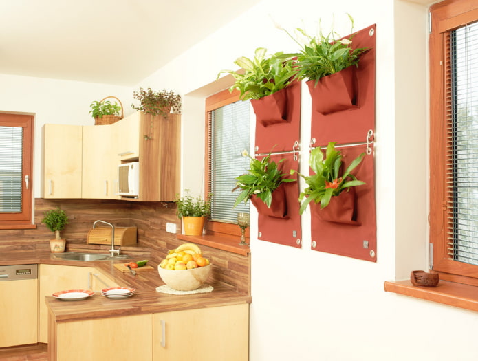 plantes sur le mur dans l'intérieur de la cuisine