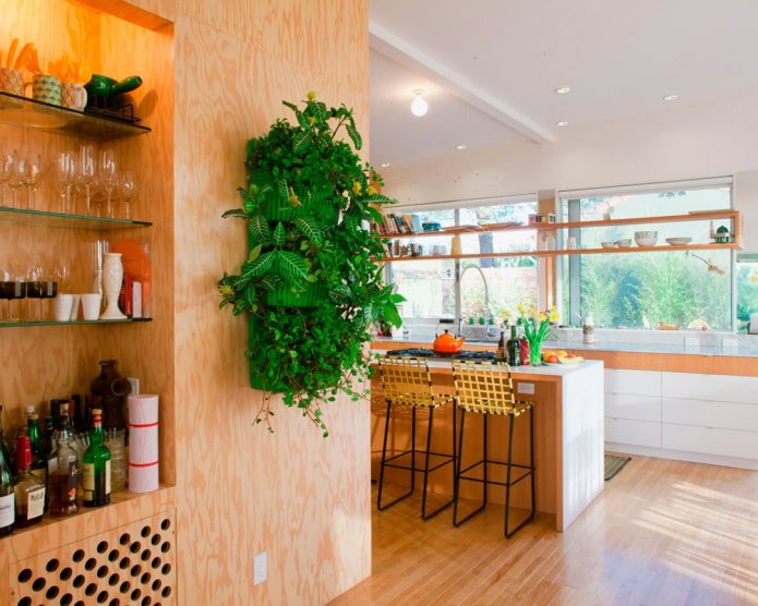 plantes sur le mur dans l'intérieur de la cuisine