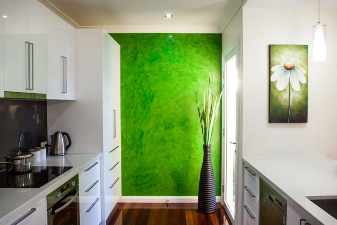 Plâtre vert dans la cuisine