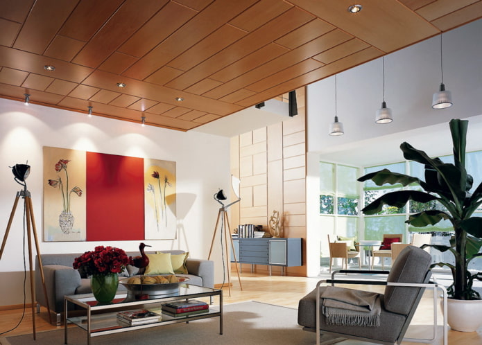 Panneaux en MDF dans le salon