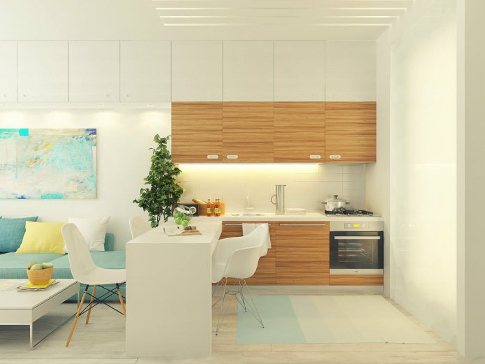 Projet de conception d'un studio de 29 m².