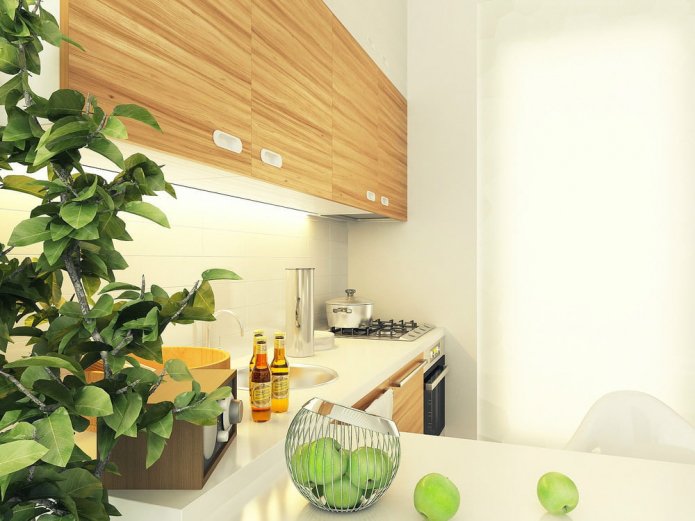 cuisine dans le projet de conception d'un studio de 29 m².