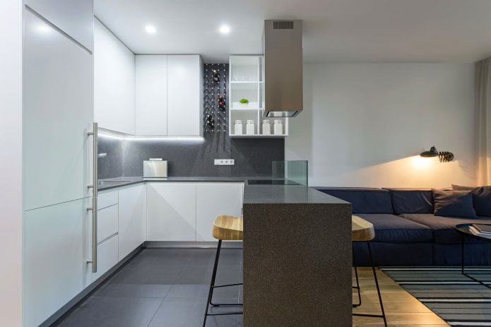 cuisine-salon de style minimaliste