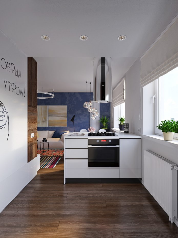 Cuisine dans Français : la conception d'un appartement de 31 m².
