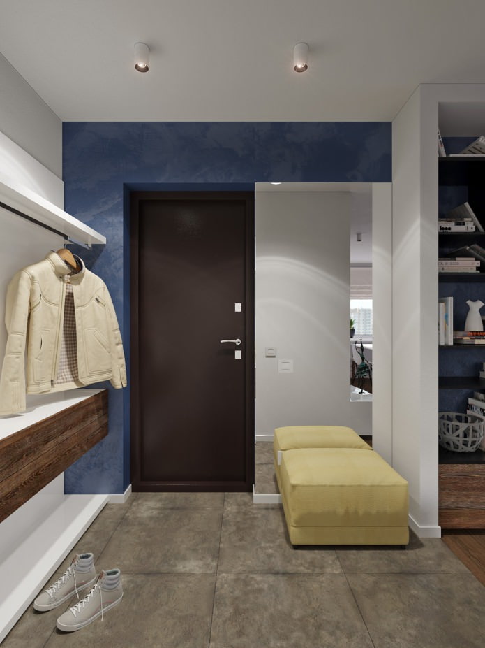 couloir dans l'aménagement d'un studio de 31 m²
