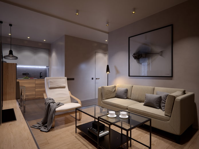 intérieur d'un studio de 50 mètres carrés