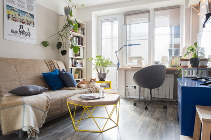 Meubles dans un petit salon