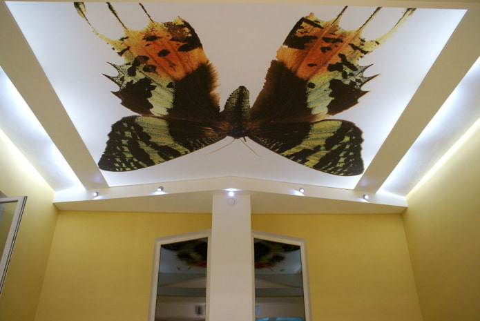 plafond avec un papillon