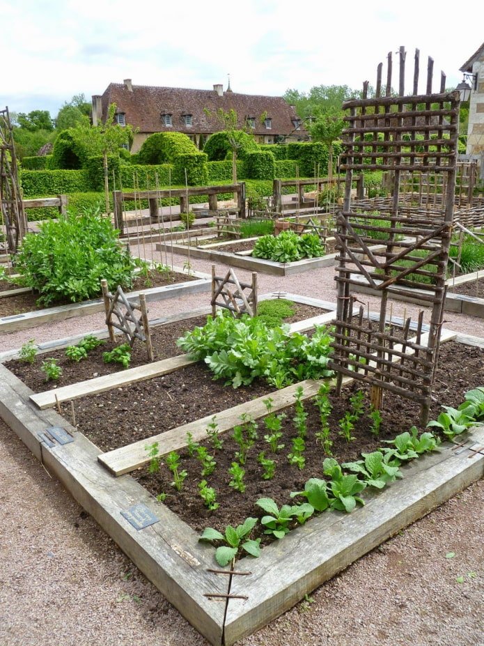 jardin potager