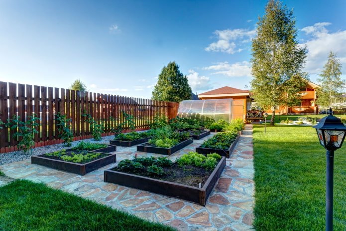 Potager à la datcha