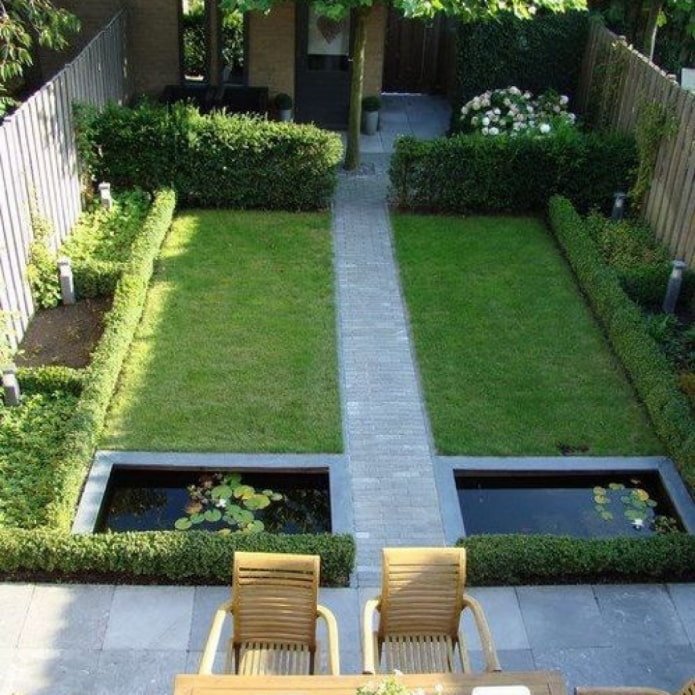 hedge on the plot