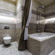 Intérieur d'une salle de bain combinée avec des toilettes-0