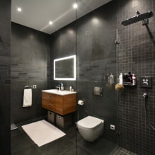 Intérieur d'une salle de bain combinée avec des toilettes-1