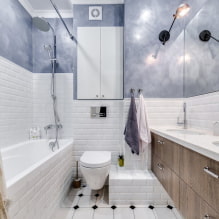 Intérieur d'une salle de bain combinée avec des toilettes-2