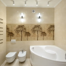Intérieur d'une salle de bain combinée avec toilettes-8
