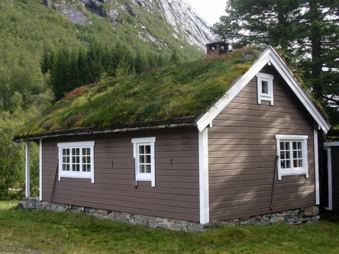 Finition de la toiture de la maison de style scandinave