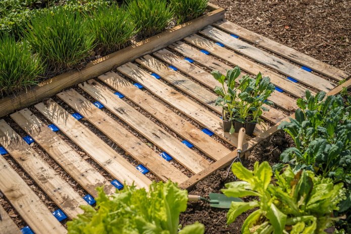 chemin entre les lits faits de planches