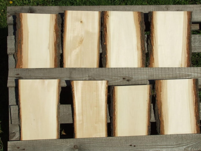 Structure du bois de tilleul