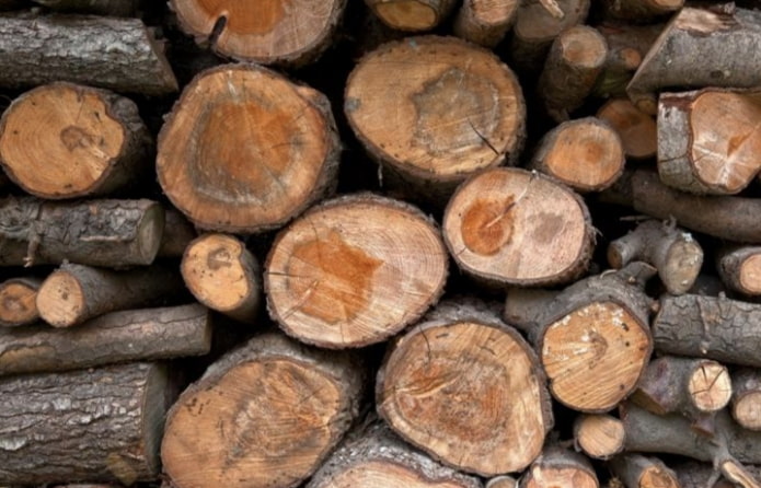 Bois de chauffage d'arbres fruitiers