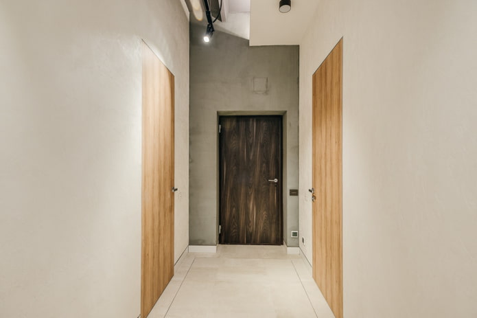 Portes d'entrée de style minimaliste