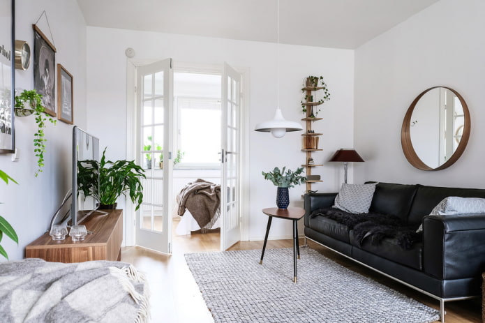 Portes françaises dans le salon