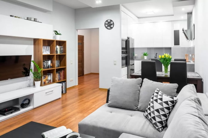 cuisine-salon dans un appartement de deux pièces